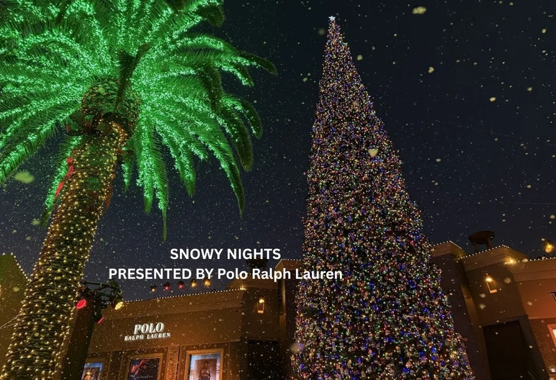 Image of Snowy Nights