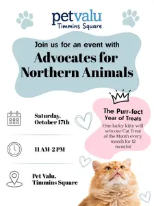 Pet Adoption Day thumbnail