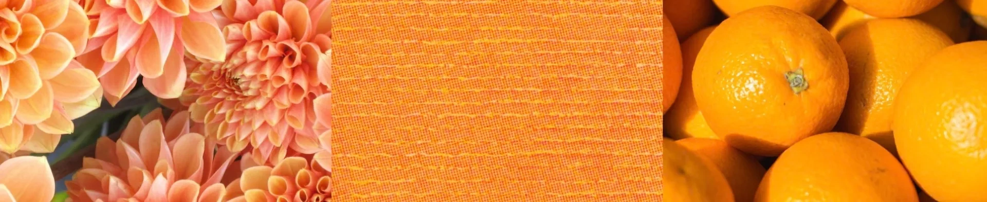 Pantry Perfection 101: Organize Your Kitchen with these Essentials 