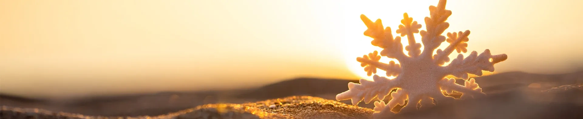 WISHING YOU WAVES of holiday joy