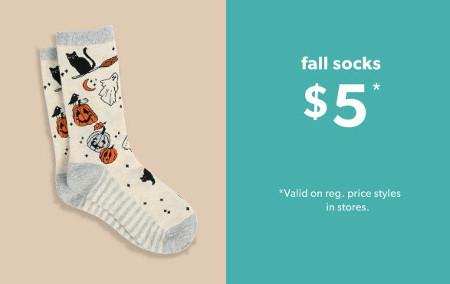Fall Socks $5