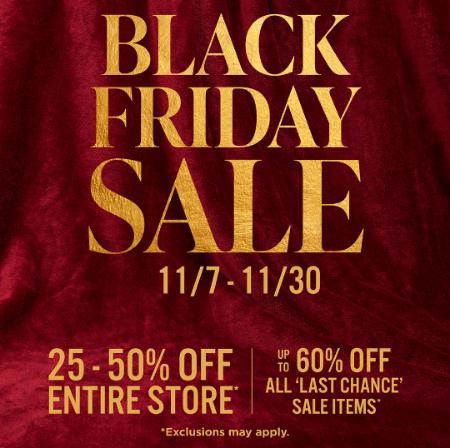 Black Friday Sale
