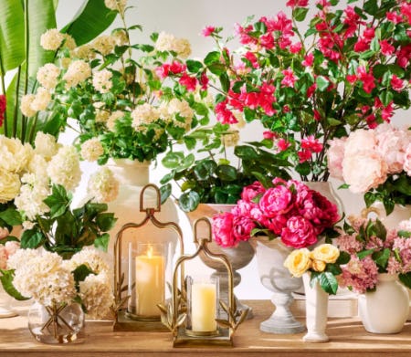 Summer in Bloom