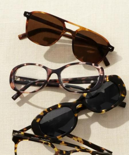 Tortoiseshell Shines in Summer