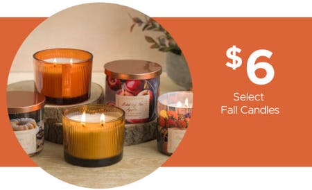 $6 Select Fall Candles