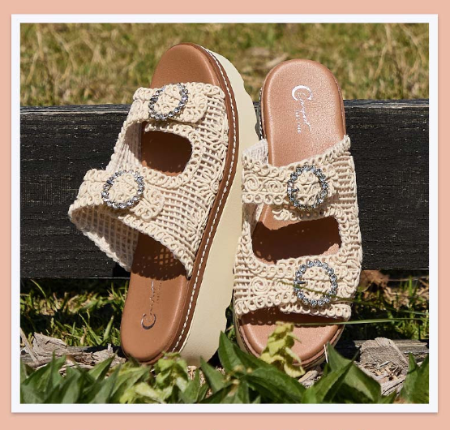 New Arrivals