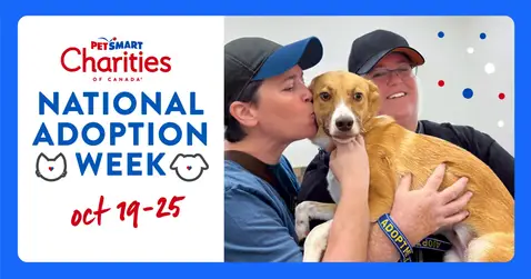 National Adoption Week  thumbnail
