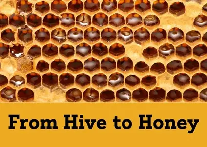 From Hive to Honey thumbnail