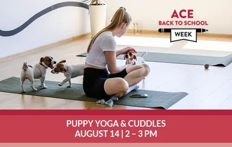 Puppy Yoga & Cuddles