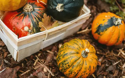October To-Do List: Must-Do Fall Fun Ideas thumbnail