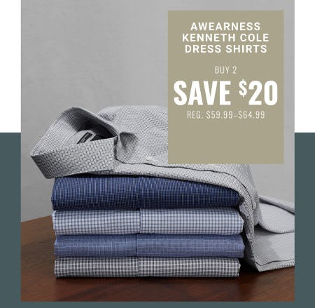 Buy 2 Dress Shirts, Save $20