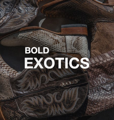 Python Boots with Bold Western Style