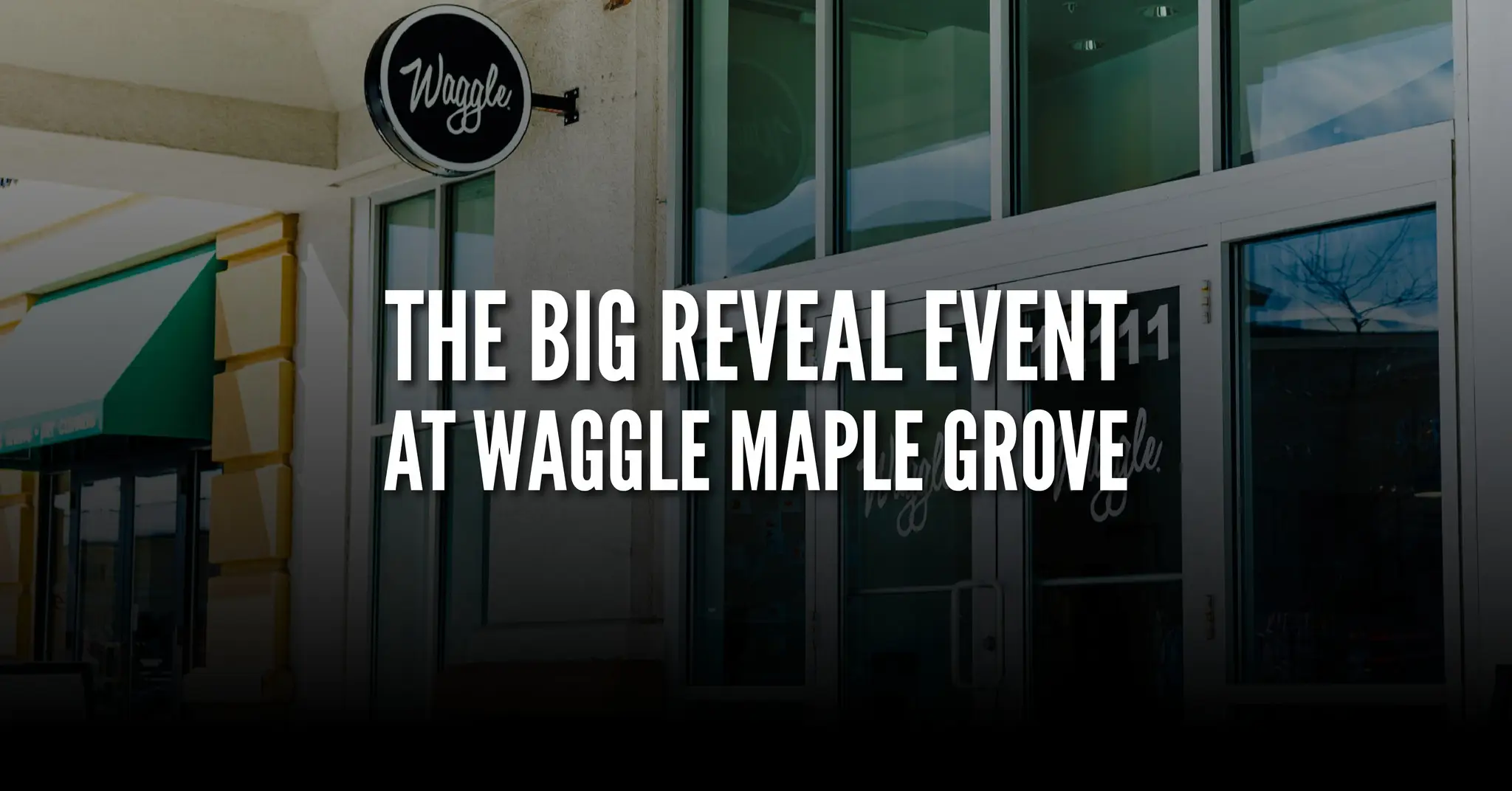 The Big Reveal at Waggle
