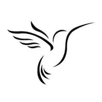 Dancingbird Gallery