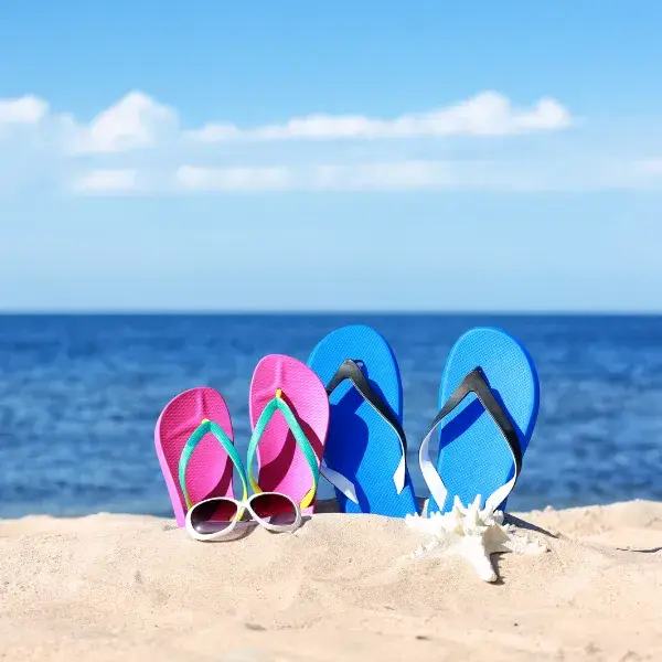 Flip Flop Shops Logo
