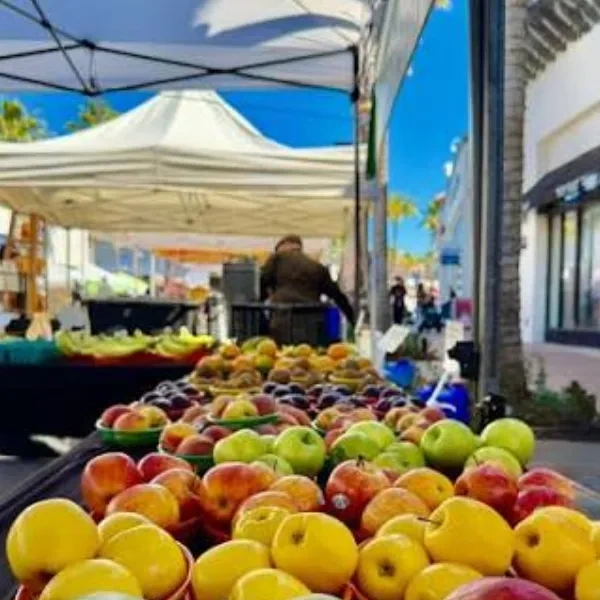 Fresh Market at Wiregrass Logo