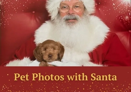 Pet Photos with Santa  thumbnail