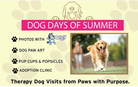 The Dog Days of Summer!
