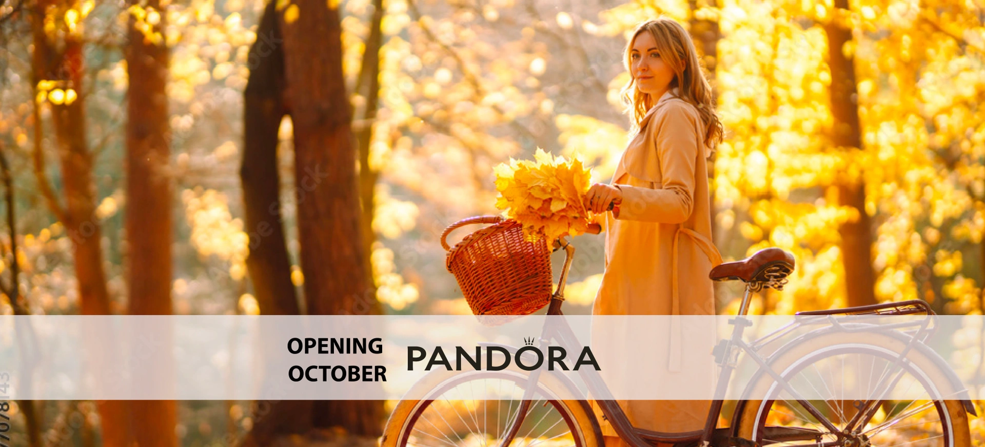 NEW STORES! undefined