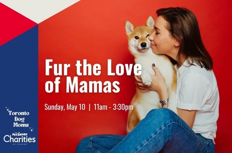 Fur the Love of Mamas thumbnail