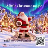 Souvenir Photos with Santa