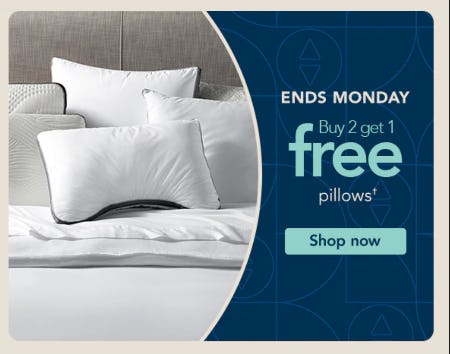Buy 2 get 1 FREE