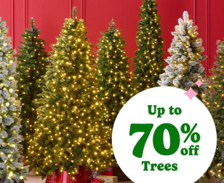Up to 70% Off Trees