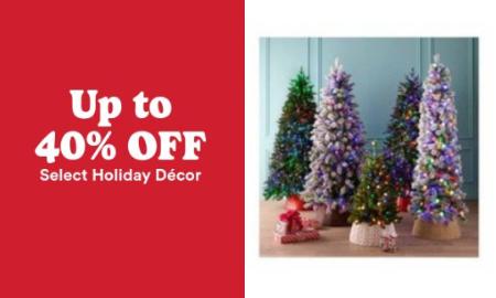 Up to 40% Off Select Holiday Decor