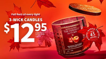 3-Wick Candles $12.95