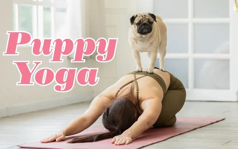 Puppy Yoga