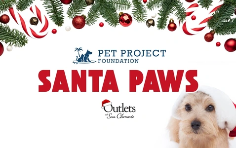 Santa Paws thumbnail