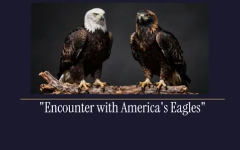 Encounter with America's Eagles thumbnail