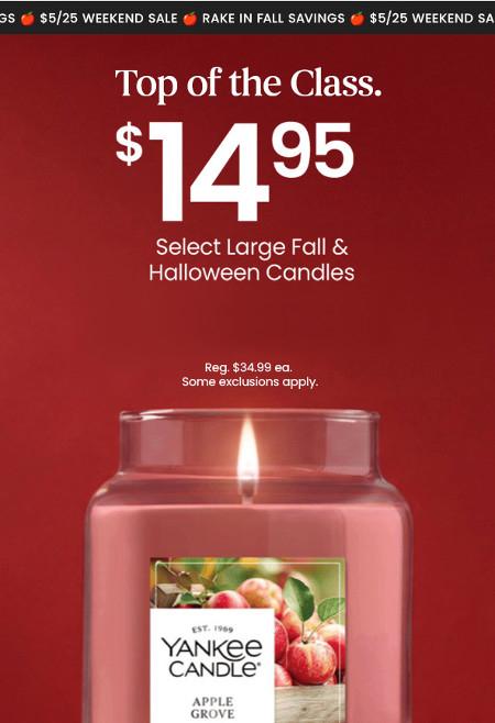 The Mall At Robinson ::: Rake in Fall Savings
