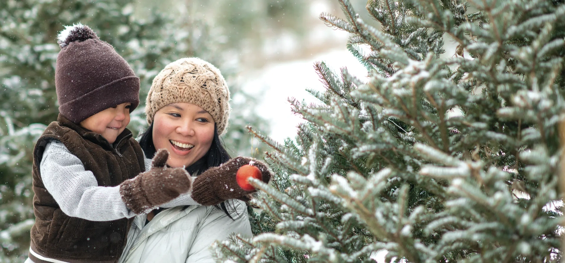 Welcome to Lynden Park Mall Lynden Park Mall is based in Brantford, Ontario and is the hub of retail in the area. We are the place that more people come to for one-stop-shopping with a range of service advantages.  We have over 95 top-name national retailers, including: Food Basics Winners Sport Chek Mark’s LCBO and many more!  