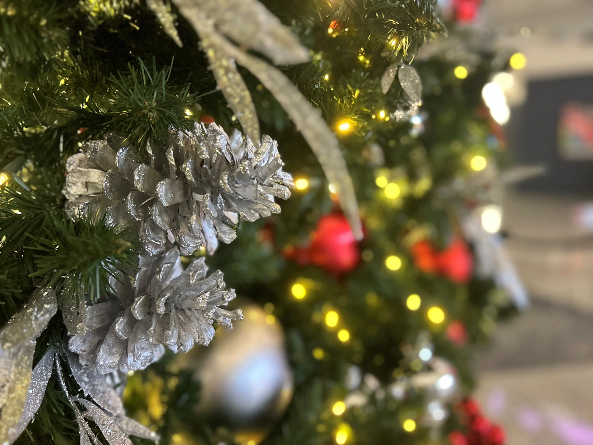 it's time for HOLIDAY MAGIC