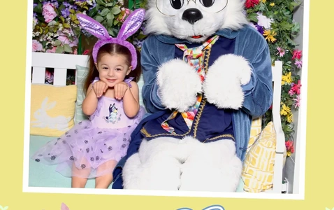 Sensitive Bunny thumbnail