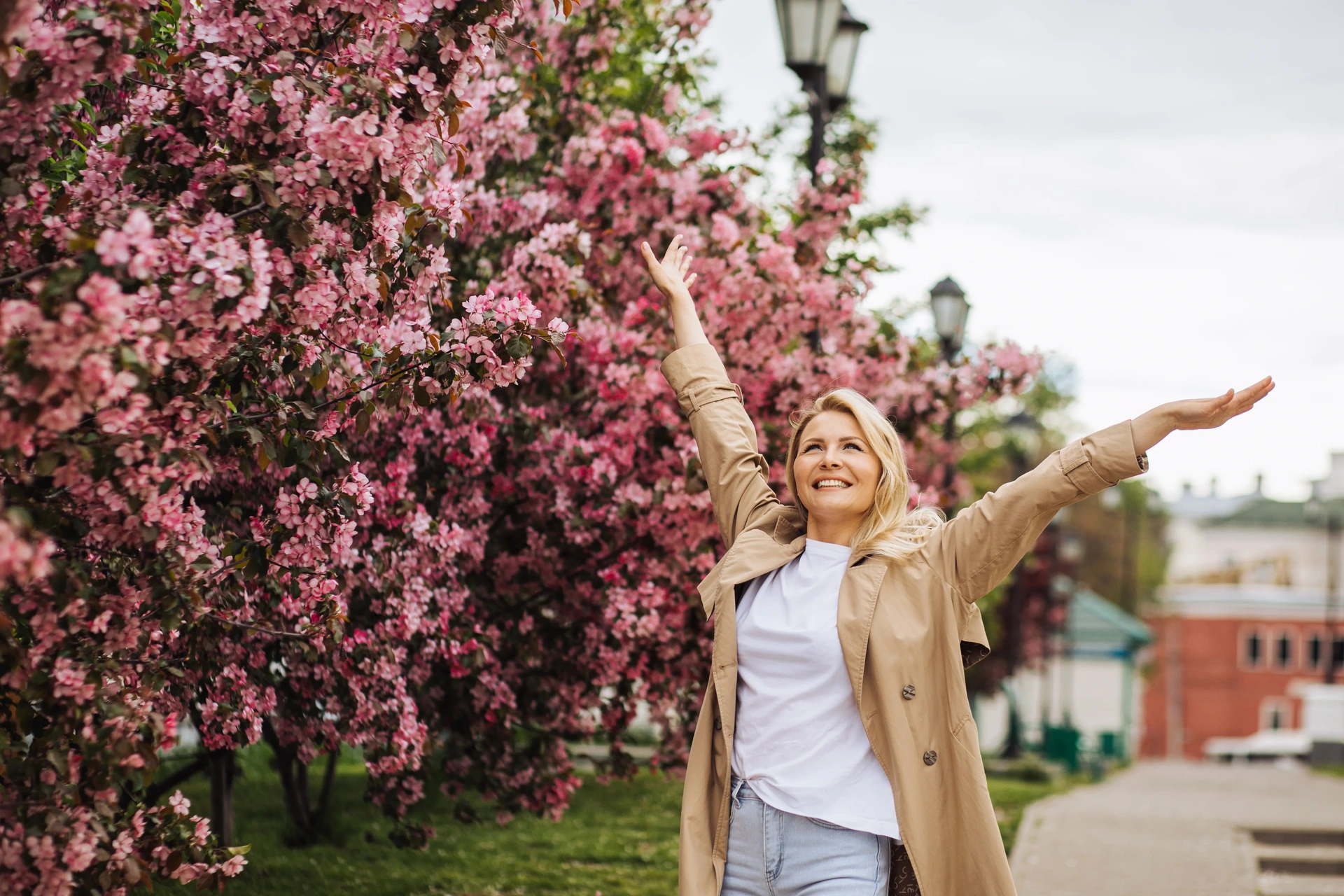 DISCOVER THE BEST BRANDS