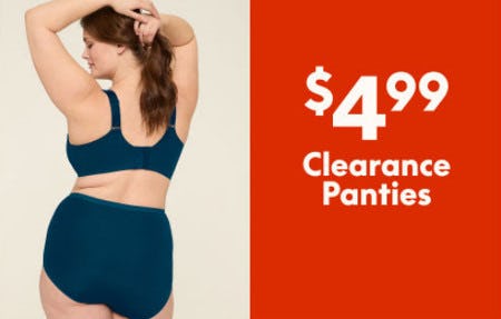 Clearance Panties $4.99