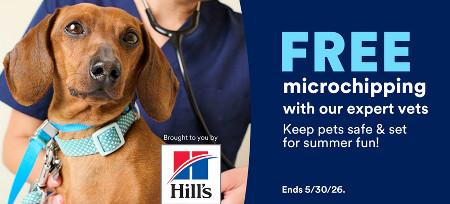 Free Microchipping With Our Expert