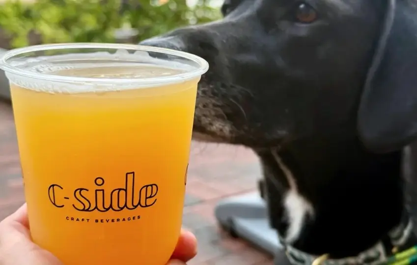 Pups + Pints