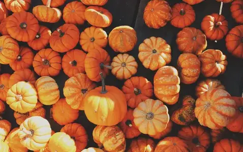 The Harvest Barn thumbnail