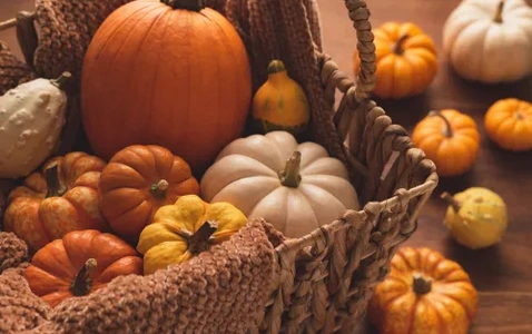 IT'S FALL Y'ALL thumbnail