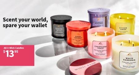 All 3-Wick Candles $13.95
