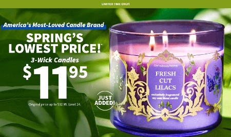 3-Wick Candles $11.95