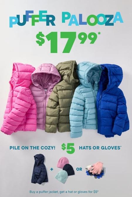 Buy a Puffer Jacket, Get a Hat or Gloves for $5