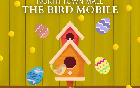 The Bird Mobile