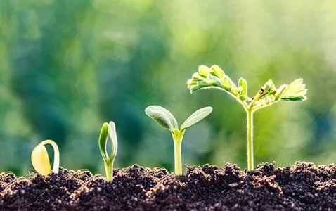 Growing Together thumbnail