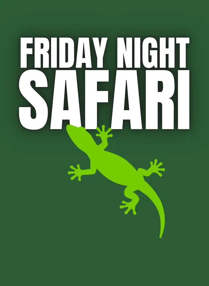 Friday Night Safari