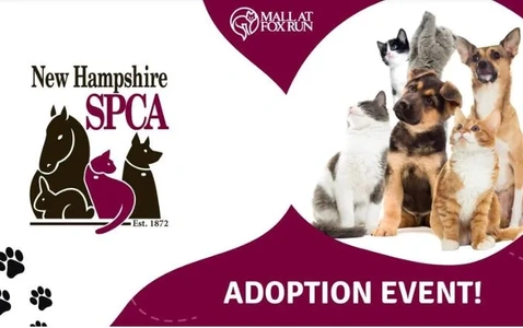 NH SPCA Adoption Event - 2nd Wednesday of the Month!