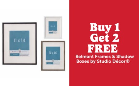 Buy 1, Get 2 Free Belmont Frames & Shadow Boxes by Studio Décor